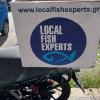 Local fish experts